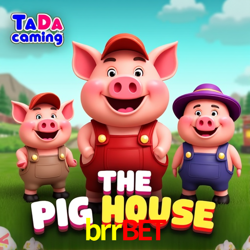 Interface Premium brrbet