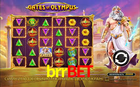Premium Interface brrbet